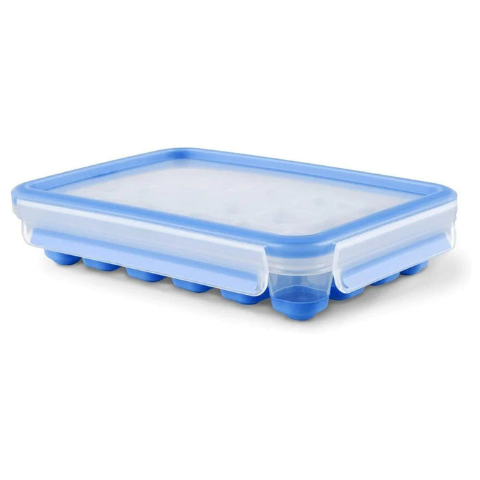 Tefal Masterseal Ice Box