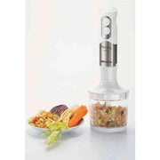 Ariete Metal Hand Blender 500W