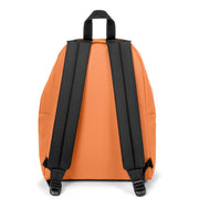 حقيبة الظهر Padded Pak'r من EASTPAK - ما الأخبار يا دكتور؟