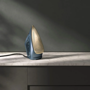 Renew 800 Steam Iron