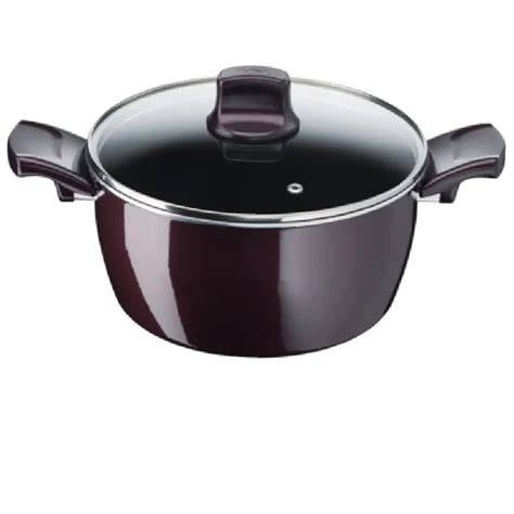 Tefal Resist Intense - Stewpot + Glass Lid