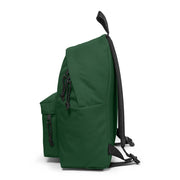 حقيبة الظهر Padded Pak'r من EASTPACK - أخضر فاتح